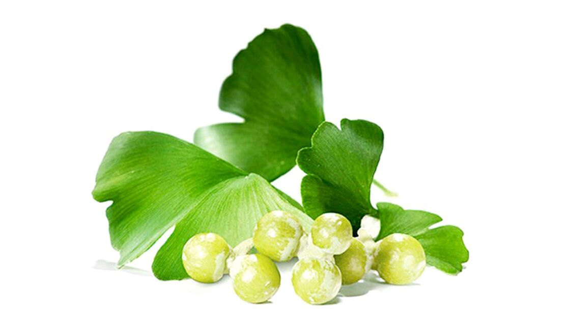 Ginkgo Bilobe в OstyHealth